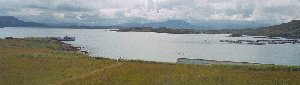 Tanera Mor Harbour