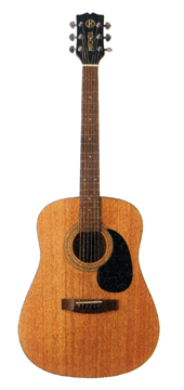 MITCHELL Acoustic Guitar Top