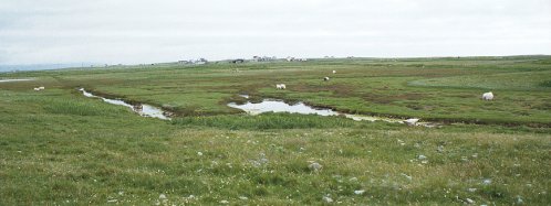 fields with a stream of Benbecula