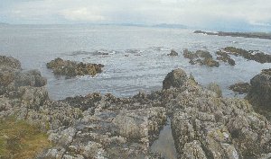 Rocks on Iona North Sea Side
