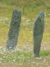 Standing Stones at Lower Kilchattan