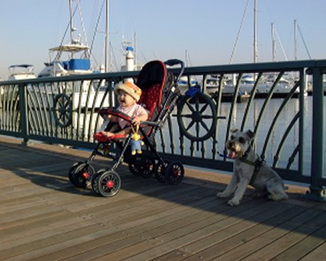 9���̃u���C�g�Ƃ���